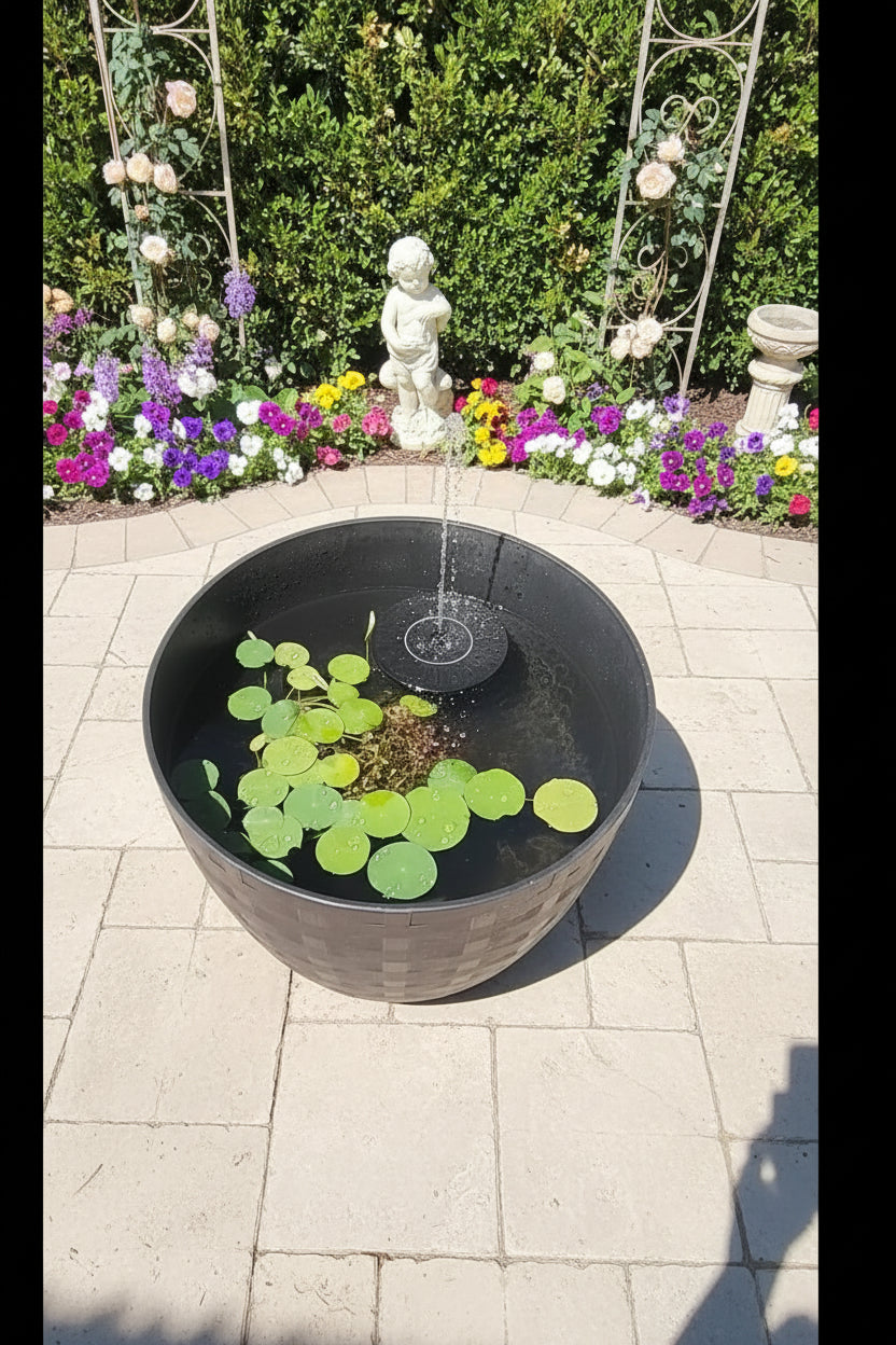 Tutorial Video: How to make a mini zen pond under 2 weeks under$50.