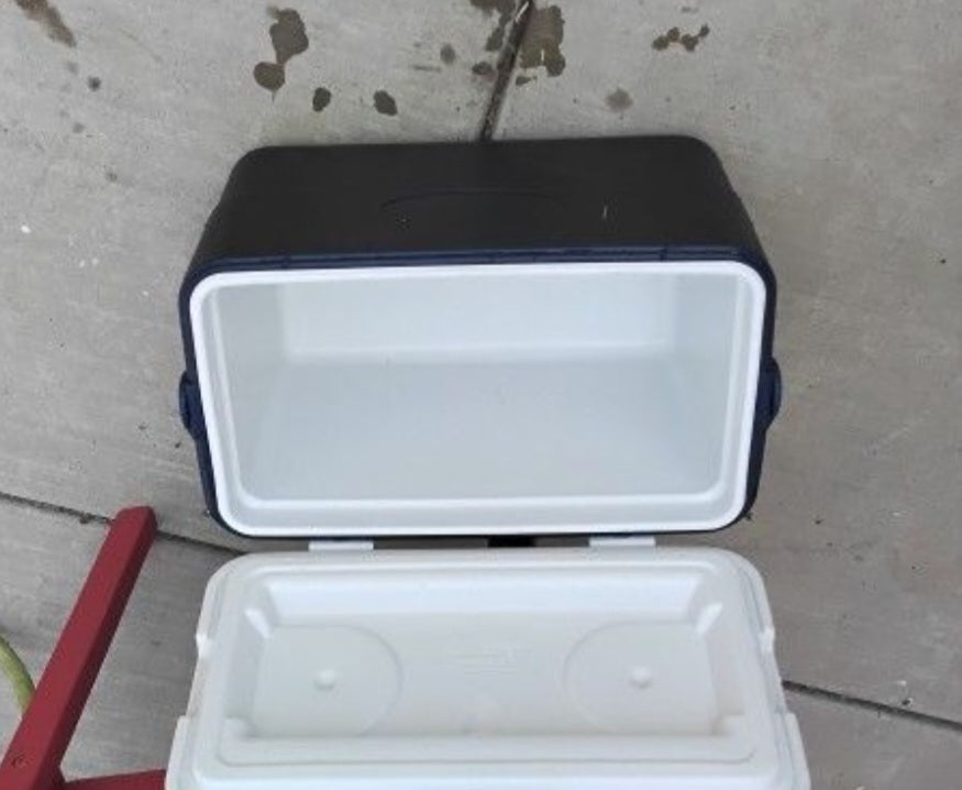 Mid Size Cooler with drainage, lightly used, local pick up, 92407