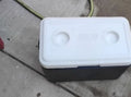 Mid Size Cooler with drainage, lightly used, local pick up, 92407