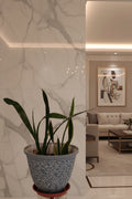 Beautiful large indoor plant with pot, local pick-up only from san bernadino, california, 92407.